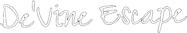 devinescape_logo_sticky_640_invert